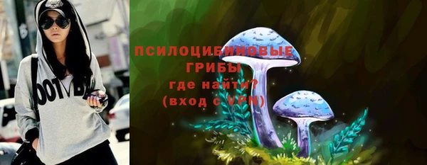 стаф Красноперекопск