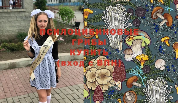 крисы Краснотурьинск