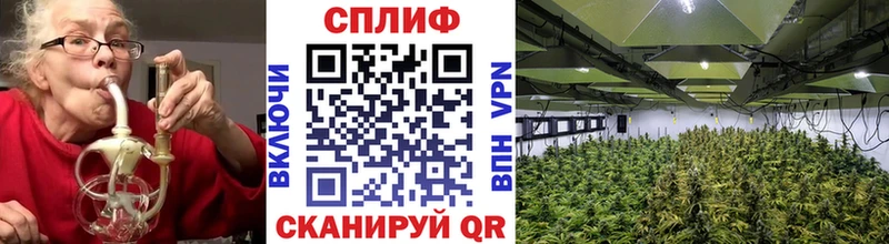 Марихуана индика  Невинномысск 